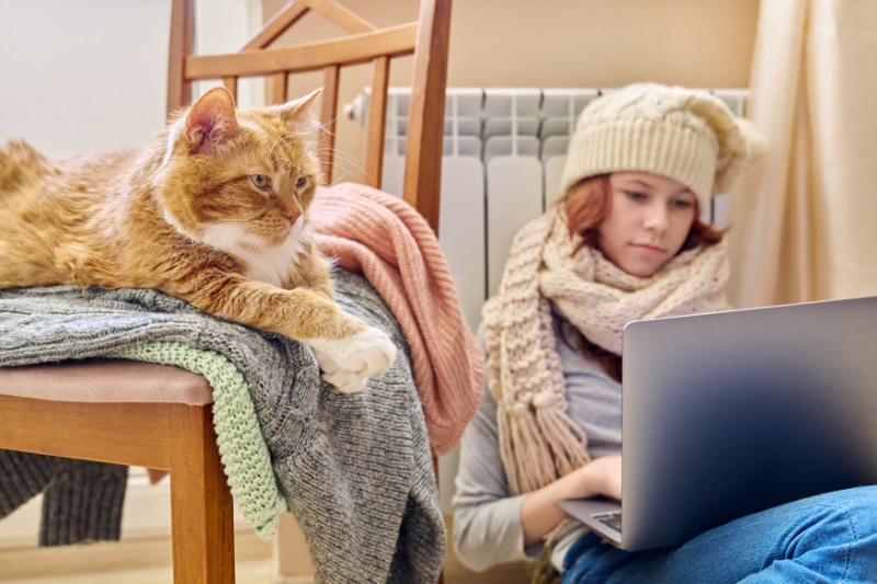 Preteen girl in knitted scarf hat is warming near heating radiator using laptop for leisure study with ginger cat lying on chair. Cold autumn winter season, home lifestyle, kids concept.